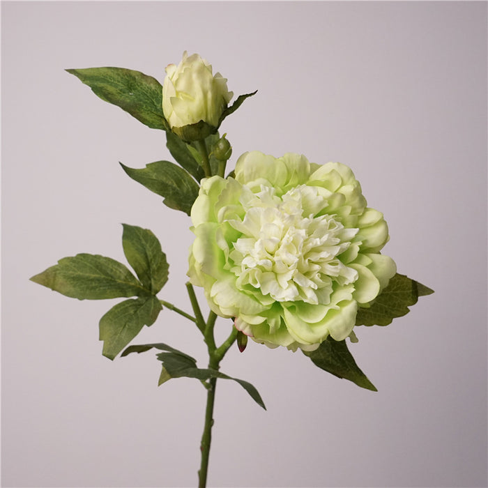 Premium Real Touch Peony Stem