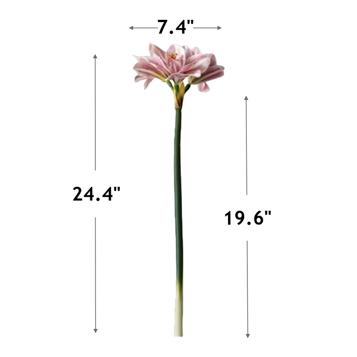 Premium Real Touch Amaryllis Stem Spring Flowers Wholesale