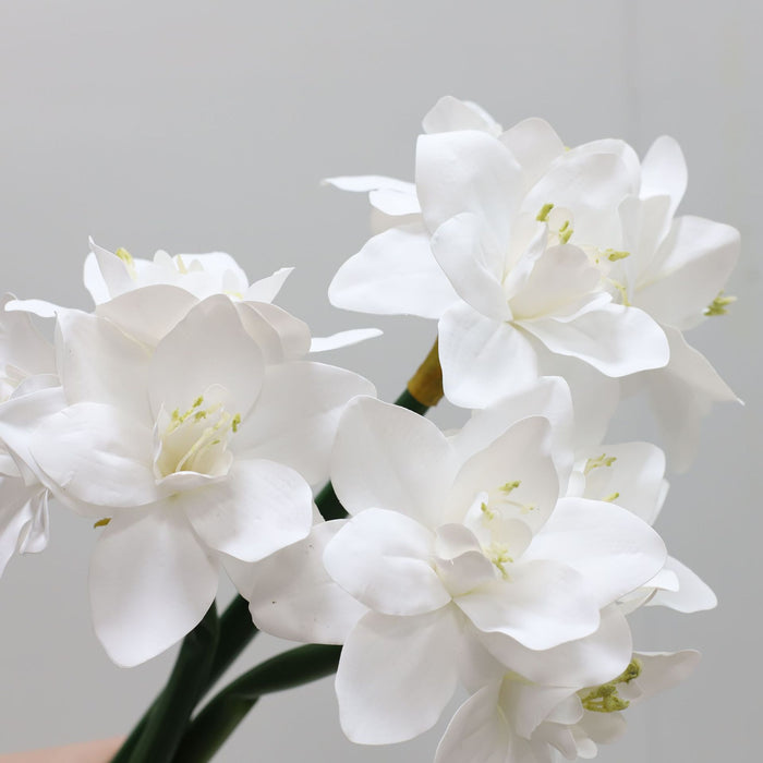 Premium Real Touch Amaryllis Stem Spring Flowers Wholesale