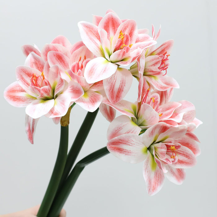 Premium Real Touch Amaryllis Stem Spring Flowers Wholesale