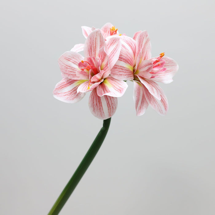 Premium Real Touch Amaryllis Stem Spring Flowers Wholesale