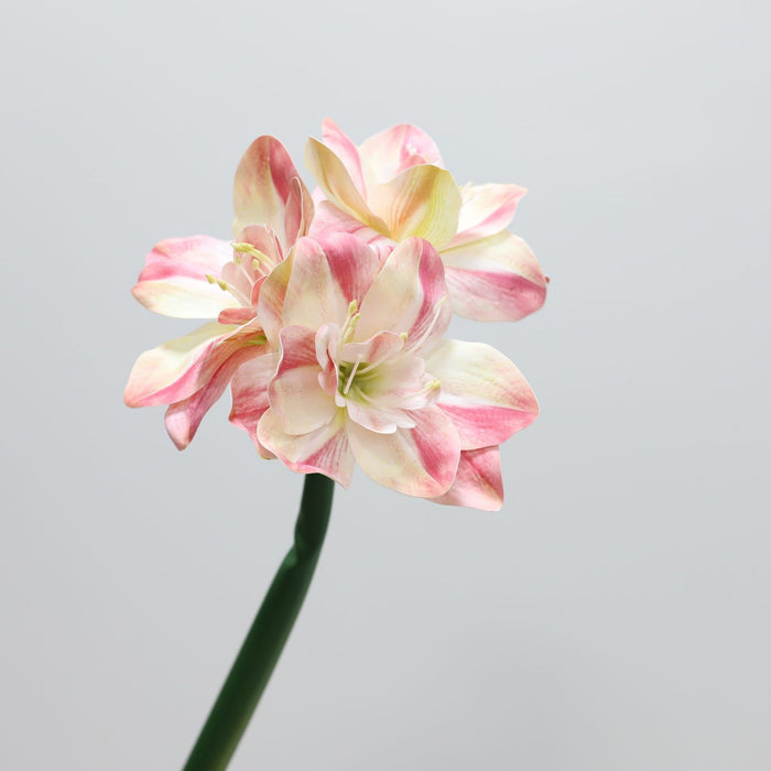 Premium Real Touch Amaryllis Stem Spring Flowers Wholesale