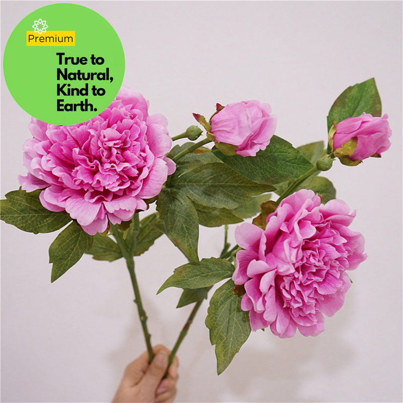 Tige de pivoine au toucher réaliste de qualité supérieure