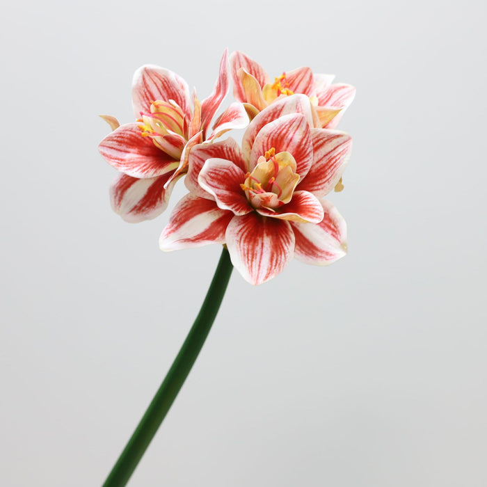 Premium Real Touch Amaryllis Stem Spring Flowers Wholesale