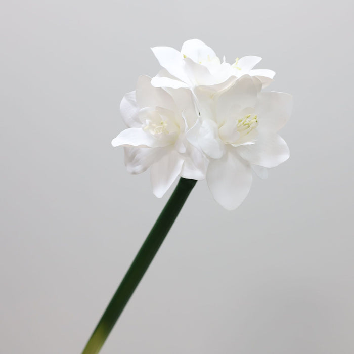 Premium Real Touch Amaryllis Stem Spring Flowers Wholesale