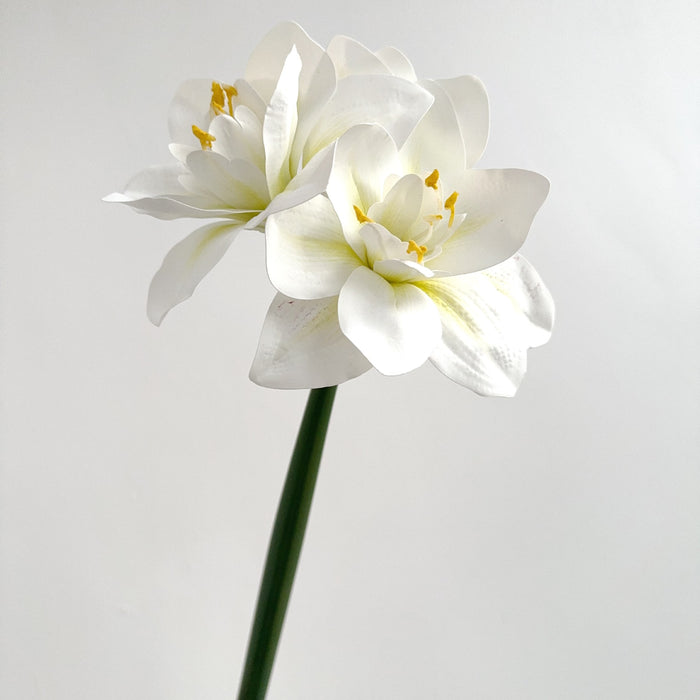 Premium Real Touch Amaryllis Stem Spring Flowers Wholesale