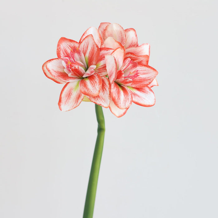 Premium Real Touch Amaryllis Stem Spring Flowers Wholesale