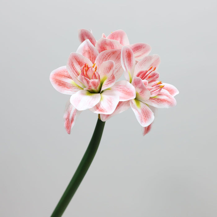 Premium Real Touch Amaryllis Stem Spring Flowers Wholesale