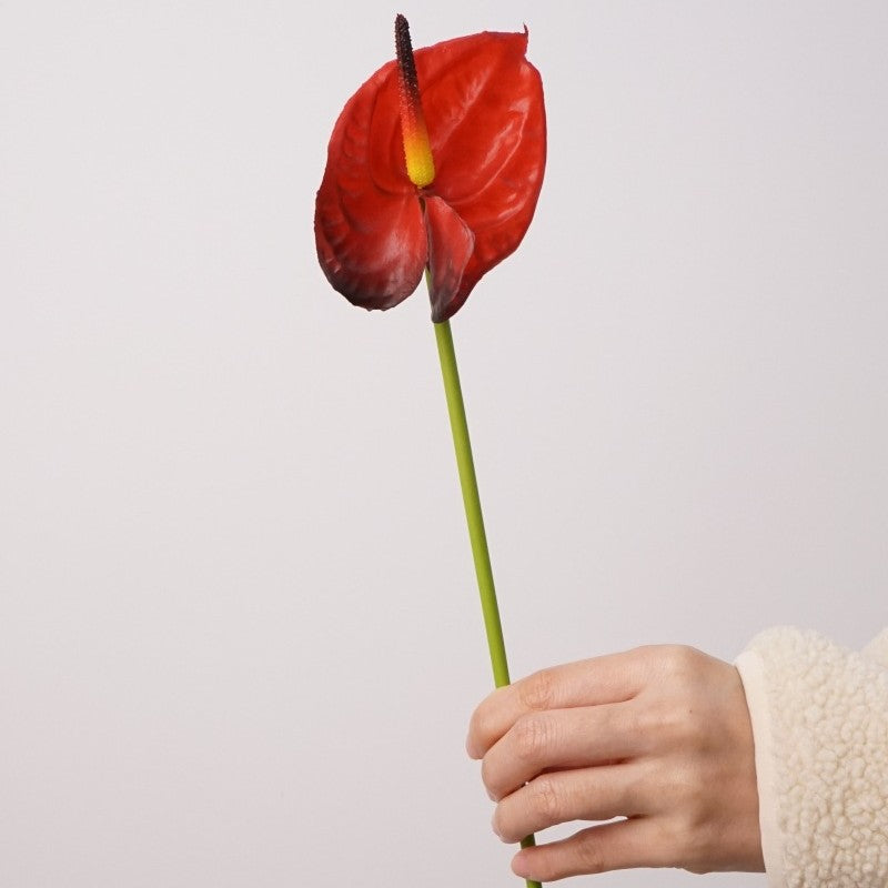 anthurium cost per stem Premium 15" Real Touch Anthurium Stem