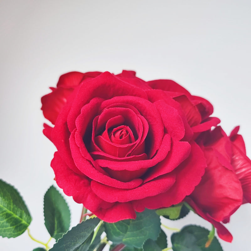 Bulk 14" Velvet Rose Flowers with Vase Happy Every Day Floral Arrangement Wholesale