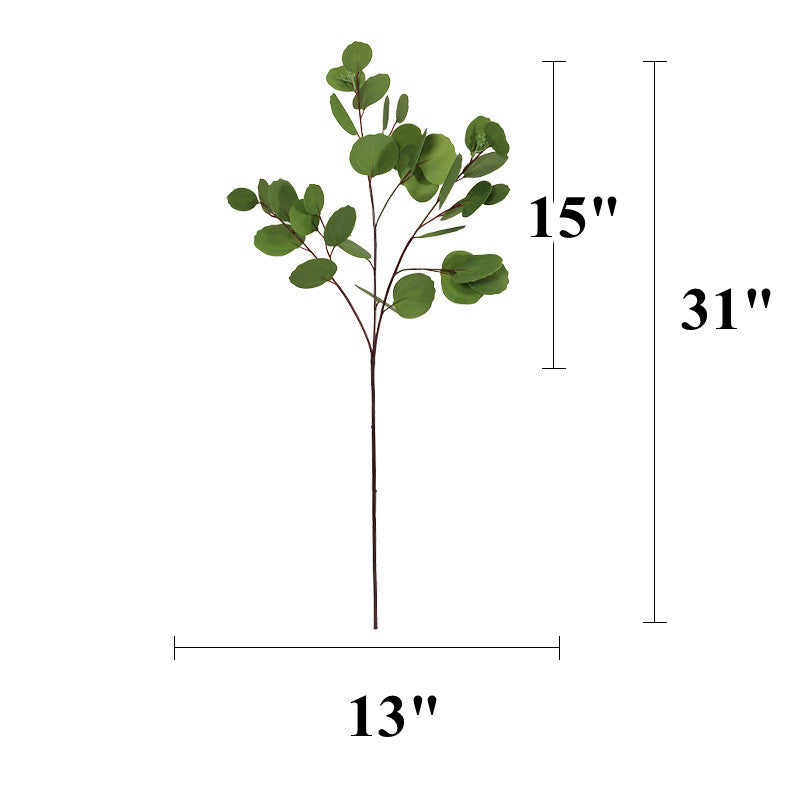 Tiges d'eucalyptus extra hautes en vrac de 31 po, décoration de plantes d'eucalyptus vertes en gros
