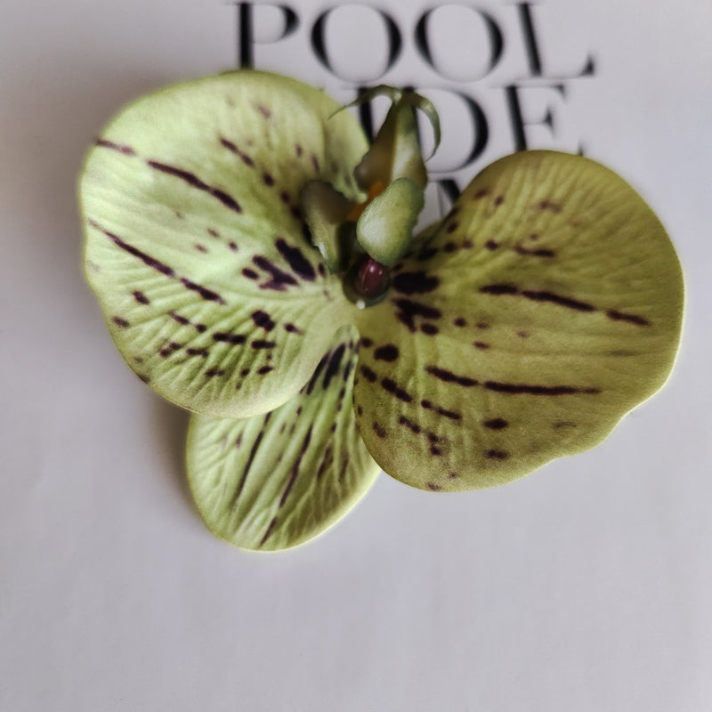 Bulk 24Pcs Ultra Realistic Touch Artificial Phalaenopsis Orchid Heads for Cake Flowers Wholesale