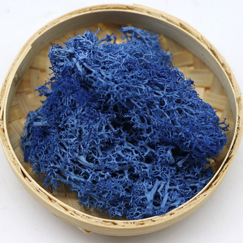 Musgo conservado a granel para manualidades, centros de mesa, jardín de hadas, decoración para fiesta de boda, venta al por mayor 