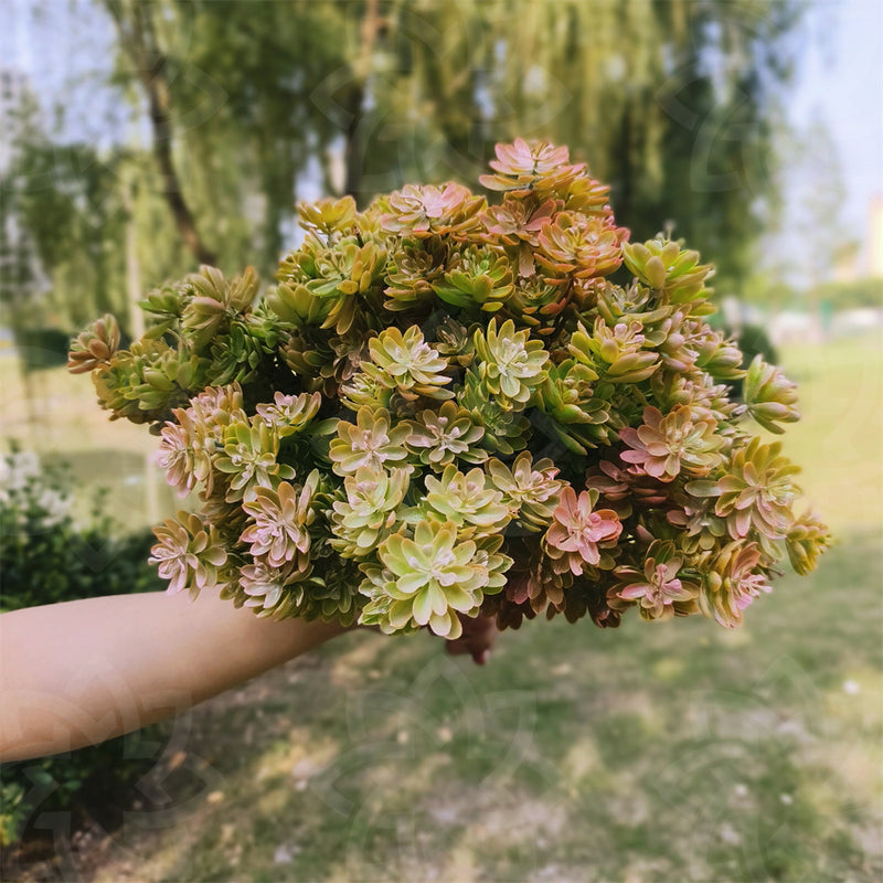 Lot de 8 plantes succulentes artificielles pour l'extérieur en gros 