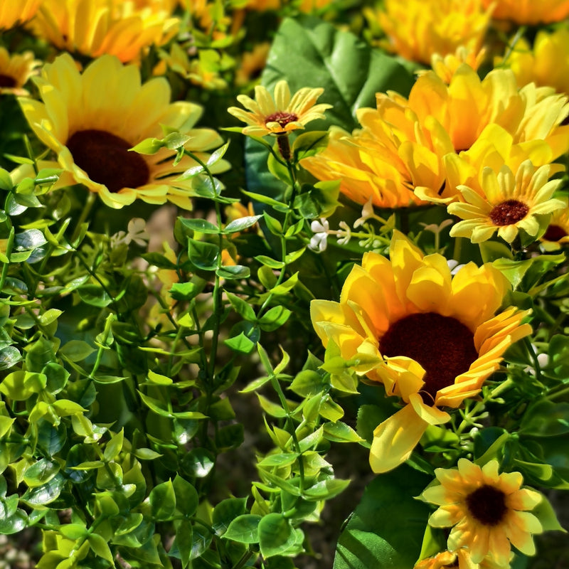 Bulk 20 Bundles Sunflowers Bush Flowers with Greenery Plants for Outdoors Wholesale