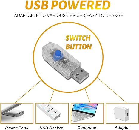 Lot de 2 guirlandes lumineuses à 100 LED de 33 pieds alimentées par USB avec télécommande pour fête de mariage, Noël, vente en gros