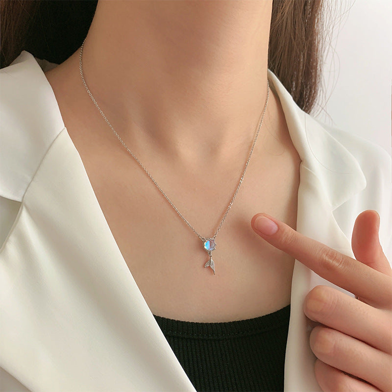 Bulk 6Pcs Luxury Valentines Gifts for Her Preserved Floral in Conch with Necklace and Earrings Wholesale