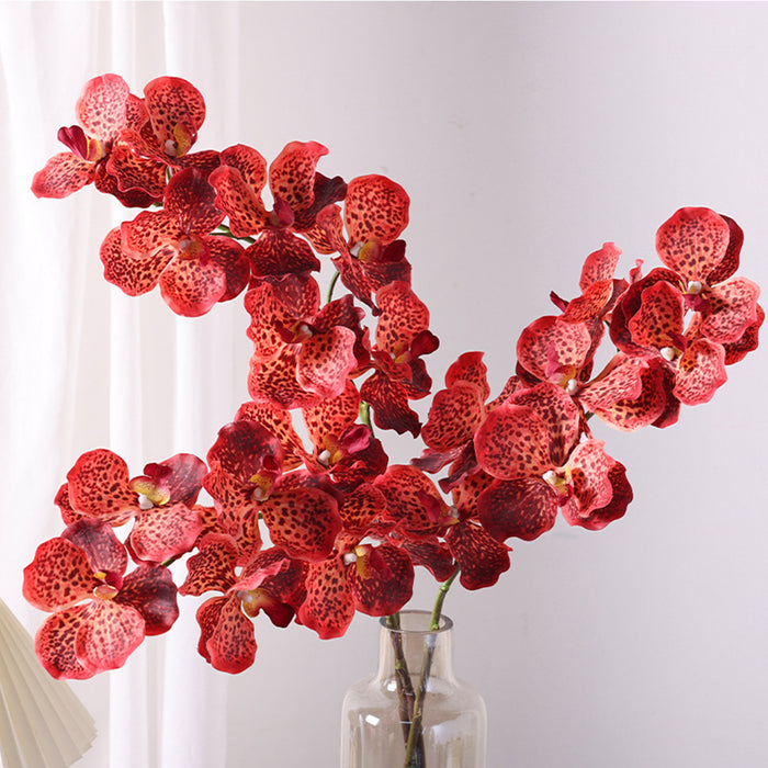 Bulk 31 inches Tall Extra Long Vanda Orchid Stems Real Touch Floral Wholesale