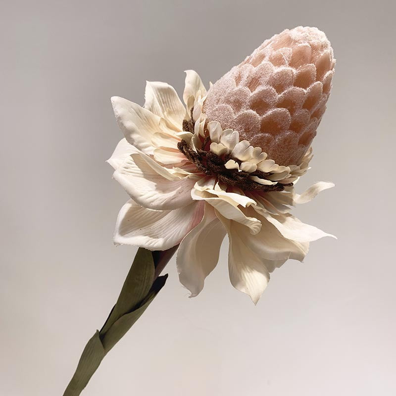 Bulk 35" Long Torch Ginger Stems Wholesale