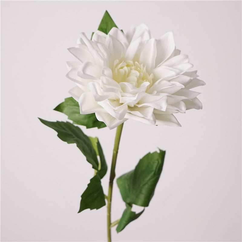 Bulk Real Touch Dahlia Stems - Lifelike Fall & Winter Decor for Vases, Centerpieces, and Home Arrangements Wholesale