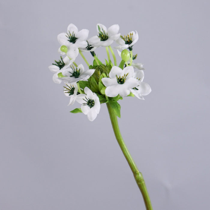 Bulk 25.5 inches Tall Star of Bethlehem Stem Silk Ornithogalum Flowers Artificial Wholesale