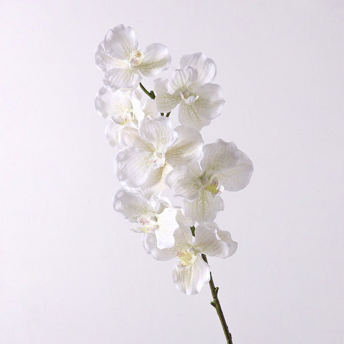 Bulk 31 inches Tall Extra Long Vanda Orchid Stems Real Touch Floral Wholesale