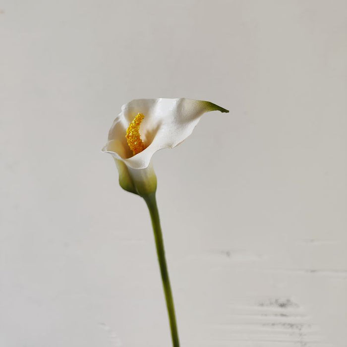 Bulk Exclusive 25.5" Calla Lilies Long Stems Real Touch Floral Artificial Wholesale