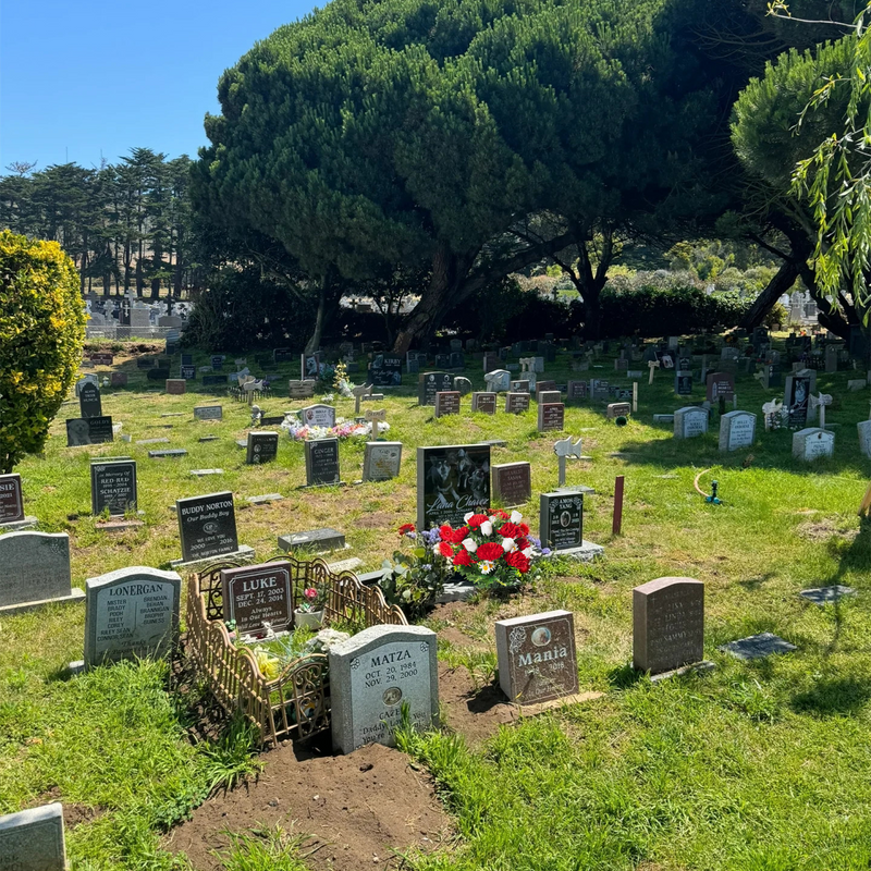 Bulk 23" Artificial Cemetery Mum Mixed Rose Buds Flower Bush for Graves Memorial Day Decor