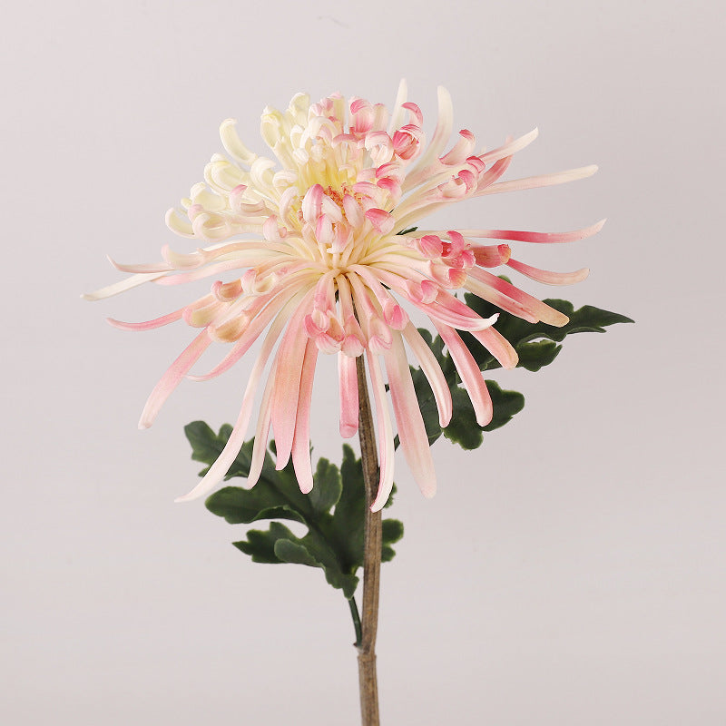 Premium 28.3" Real Touch Spide Mum - Lifelike Floral Arrangements for Weddings & Home Decor