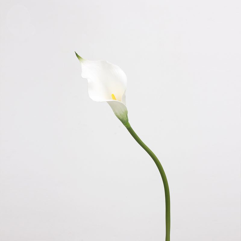 call sign white lily Bulk Exclusive Call Lily Stems Real Touch Call Lily Flowers Wholesale — Artificialmerch