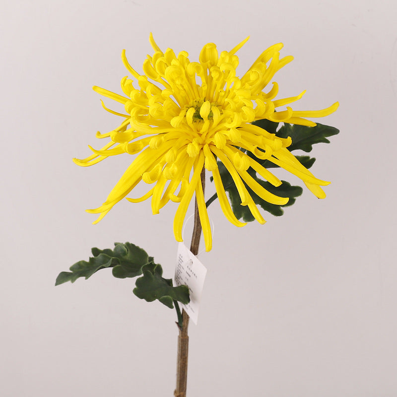 Premium 28.3" Real Touch Spide Mum - Lifelike Floral Arrangements for Weddings & Home Decor