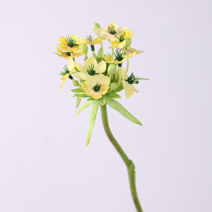 Bulk 25.5 inches Tall Star of Bethlehem Stem Silk Ornithogalum Flowers Artificial Wholesale