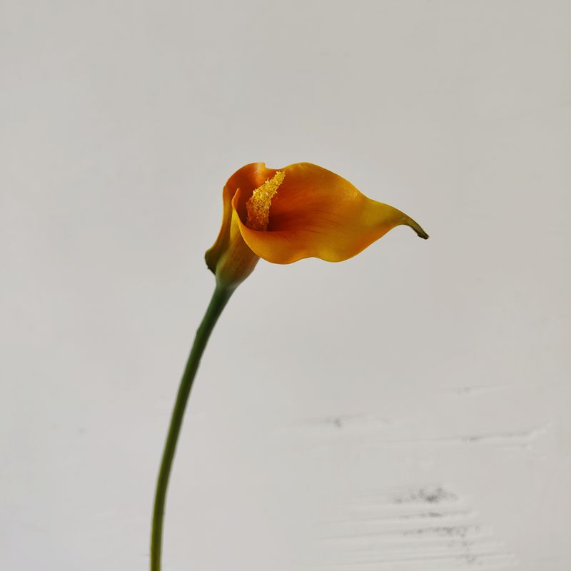 Lys calla exclusifs en vrac 25,5" Longues tiges Real Touch Floral Artificiel En Gros 