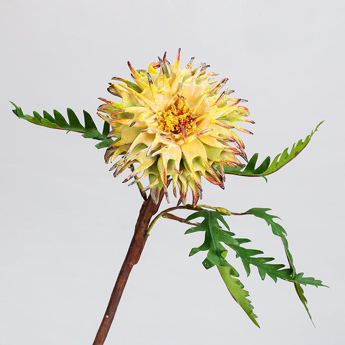 Bulk 14.5" Cirsii Herba Stems for Wedding Home Decor Wholesale