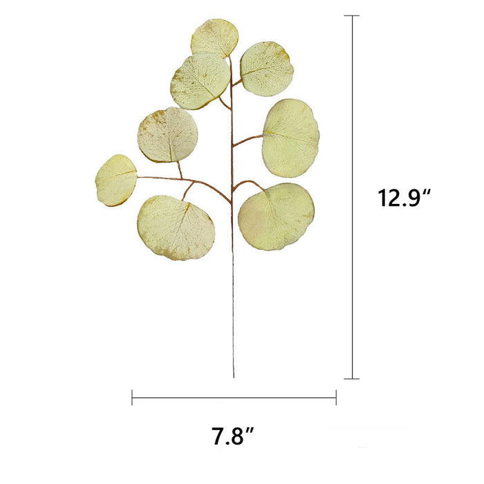 Planta de tallos de hojas de eucalipto a granel de 13 "al por mayor 