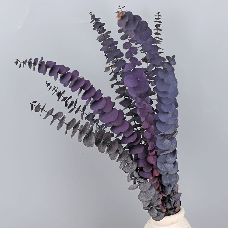 Bulk 10 Pcs Preserved Dried Eucalyptus Stems Wholesale
