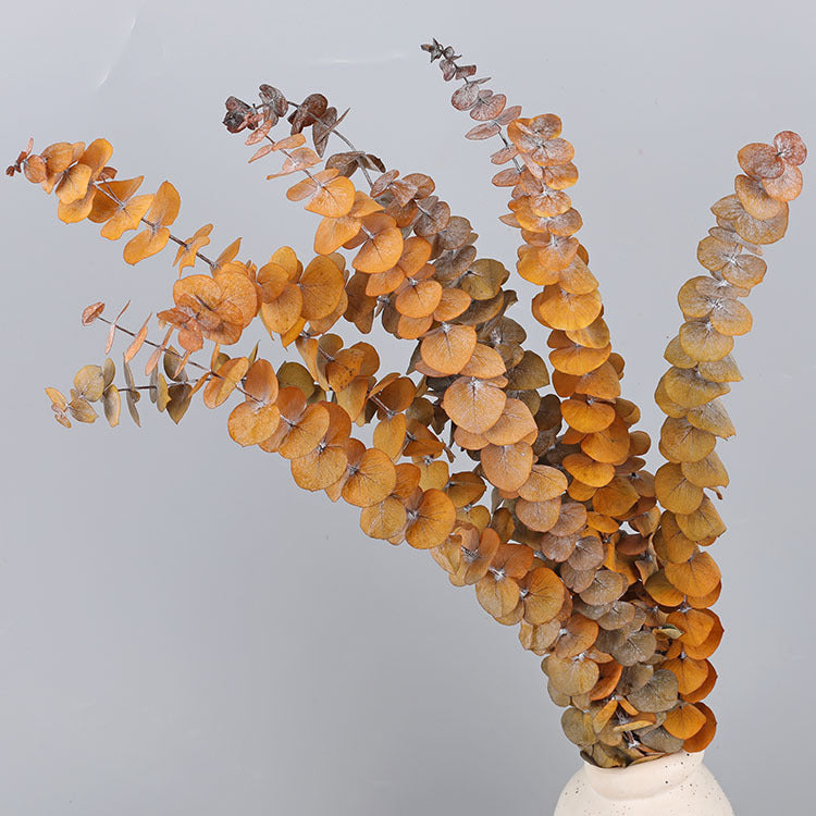 Bulk 10 Pcs Preserved Dried Eucalyptus Stems Wholesale