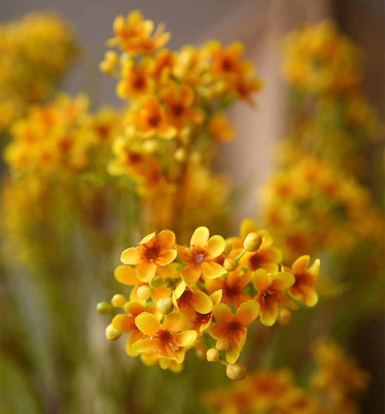 Tige de fleur de cire en vrac de 31 pouces Chamelaucium Uncinatum Fleurs artificielles en gros 