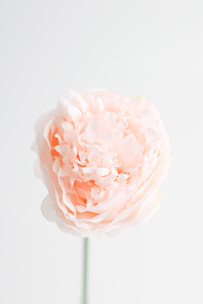 Venta al por mayor de flores artificiales de tallos de peonía de seda de 14 "a granel