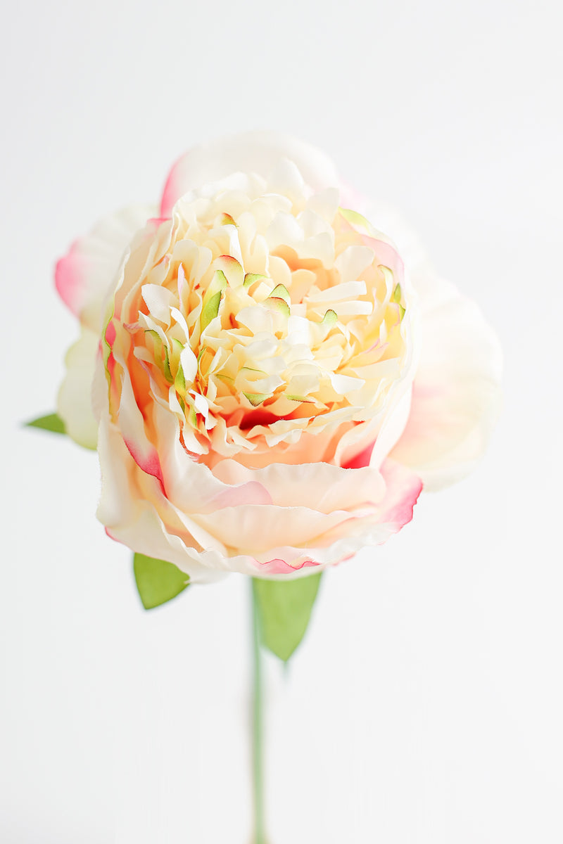 Venta al por mayor de flores artificiales de tallos de peonía de seda de 14 "a granel