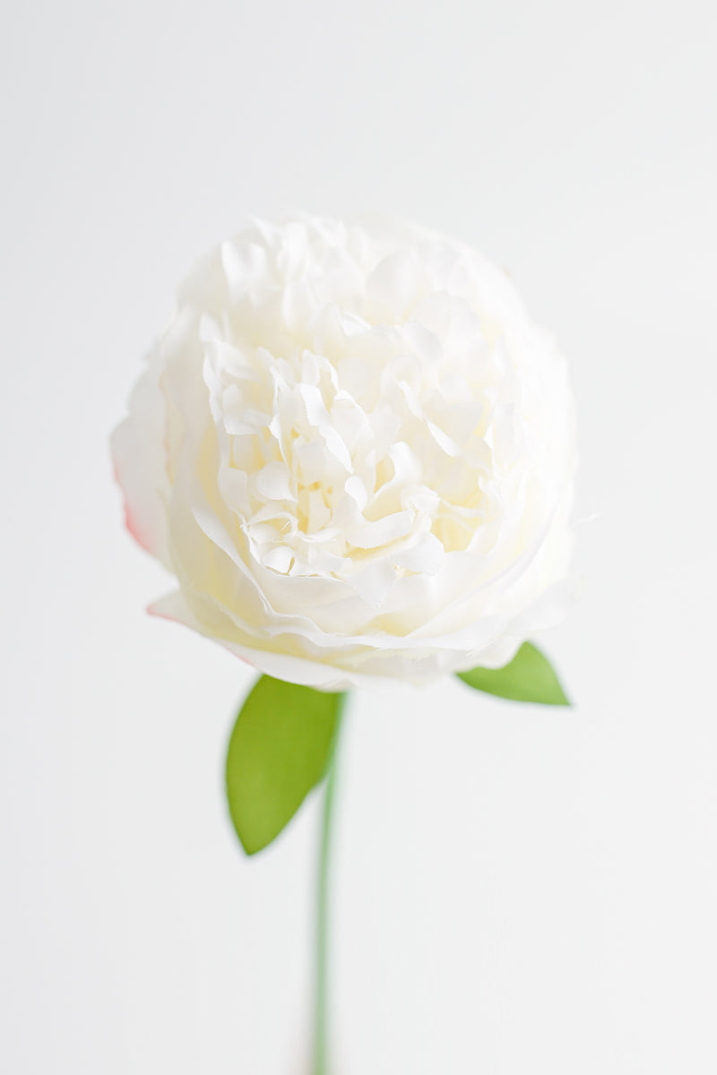 Venta al por mayor de flores artificiales de tallos de peonía de seda de 14 "a granel