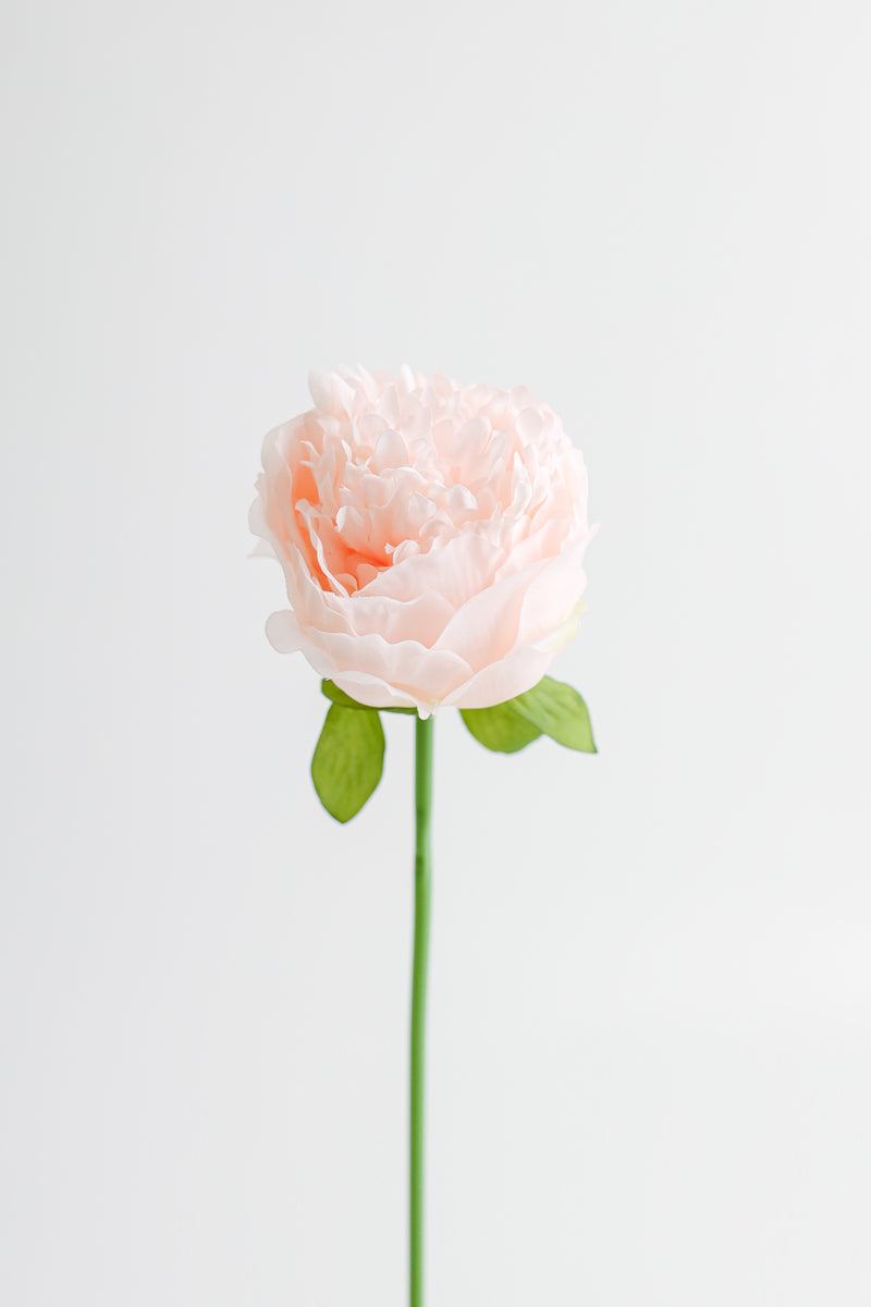 Venta al por mayor de flores artificiales de tallos de peonía de seda de 14 "a granel