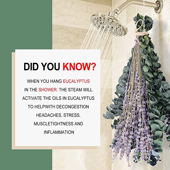 15 paquetes de flores de lavanda y tallos de eucalipto conservados secos de 17" para ducha 