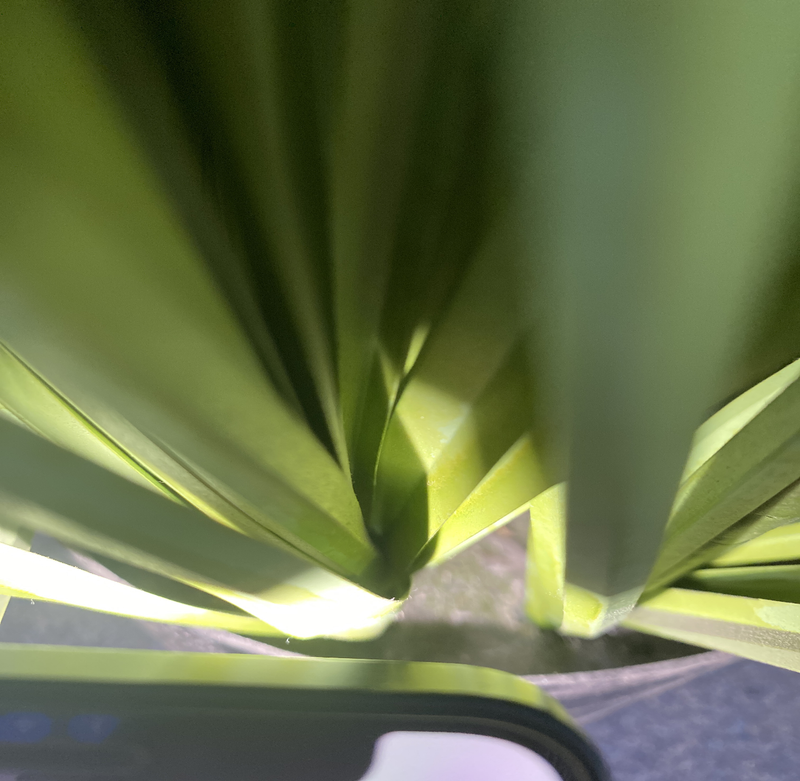 Bulk 64" 7 Styles Artificial Pampas Plant in Vase Wholesale