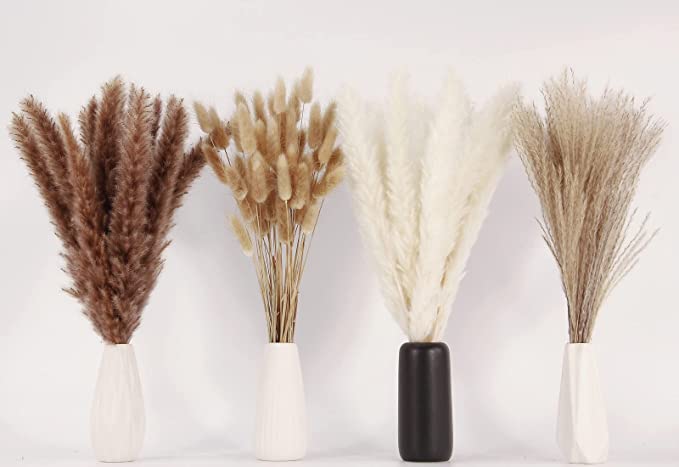 Bulk 17 "100 PCS Pampas Grass Pampas Grass Decor Bunny Tails Reed Grass Bouquet Arreglos florales al por mayor