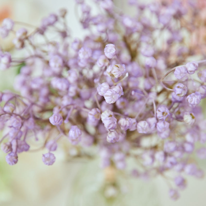 Bulk Exclusive 6 Pcs Gypsophila Bouquet Baby's Breath Flowers Bouquet Wholesale