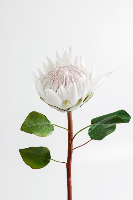 AM Basics Flor artificial de Protea Cynaroides de 26 pulgadas
