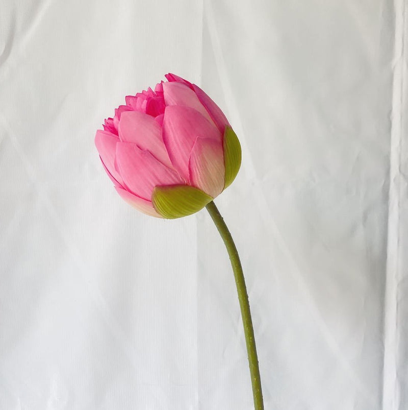 Tige de lys en bourgeon de lotus de 28 pouces en vrac Fleur artificielle en soie Vente en gros 