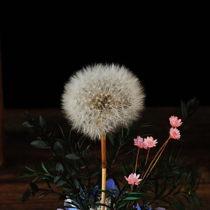 Bulk Dandelion Glass Cover Wooden Night Light Dried Flower Preserved Ornaments Holiday Gifts Wholesale