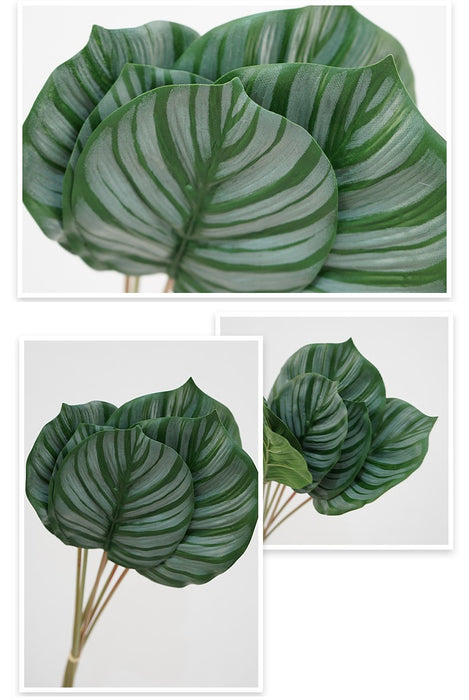 Wholesale Artificial Calathea Orbifolia Turtle Leaf Tropical Arrowroot 6 Stems 22 Inch